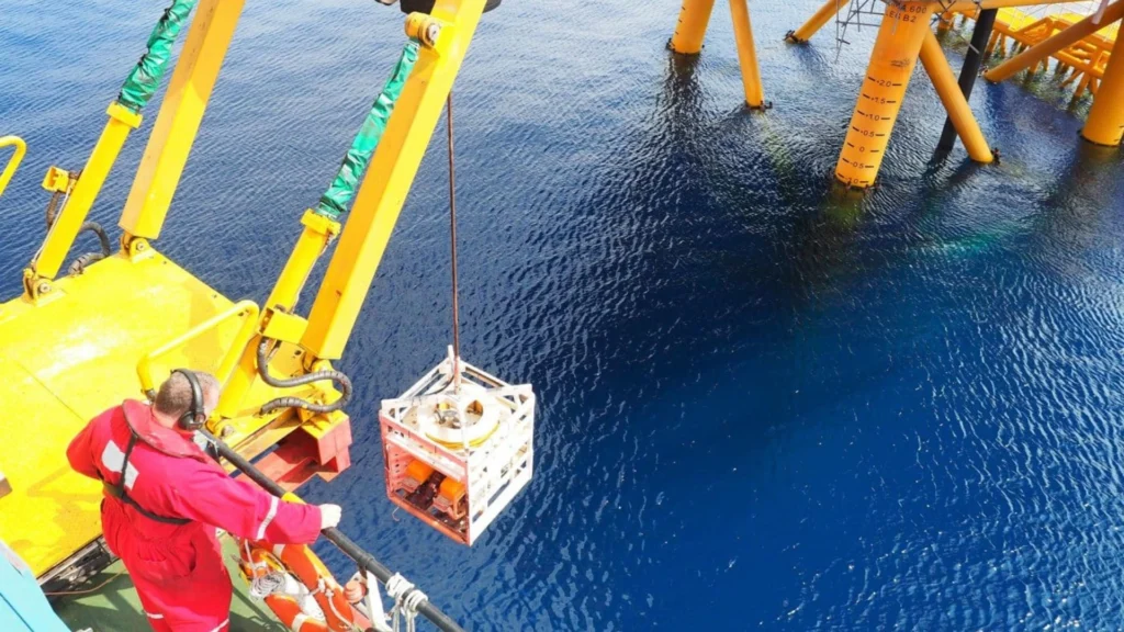 What is a Roustabout